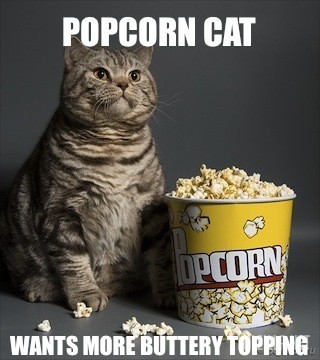 popcorn-cat-wants-more-buttery-topping.jpg
