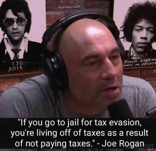 joe rogan taxes