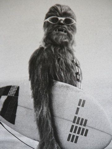 Chewbacca-Surf.jpg